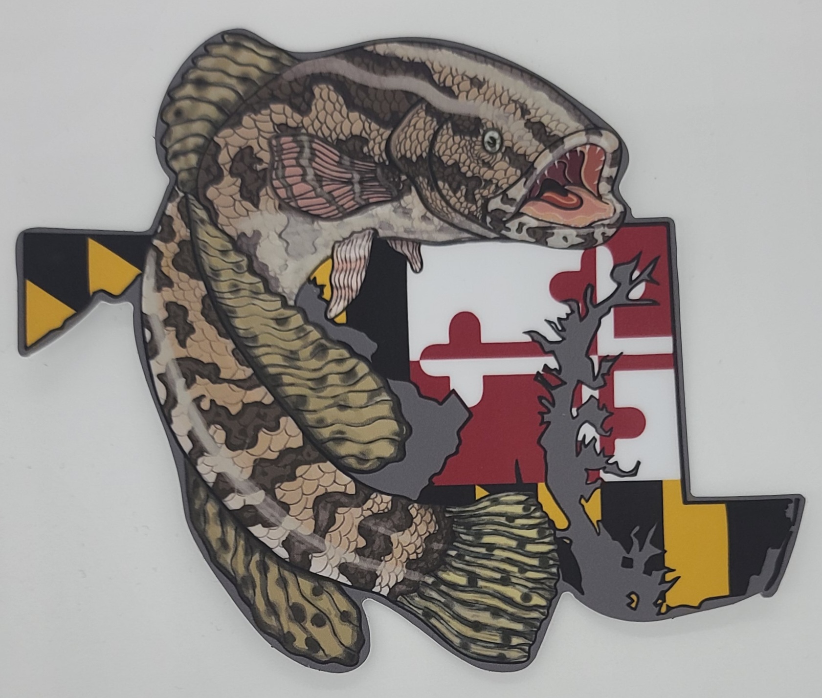 MD Snakehead Decal – Windsor Wildlife