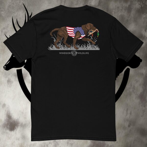 usa lab "chocolate lab" retrieve short sleeve t shirt