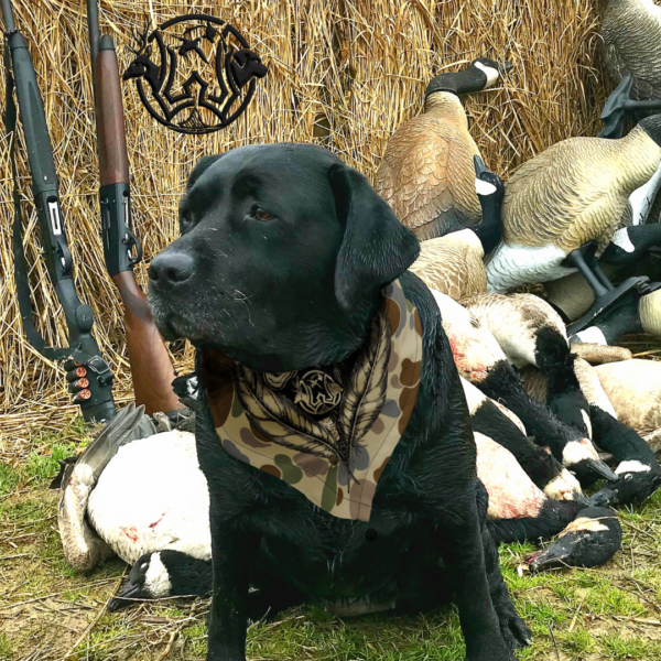 old school camo duckdog bandana